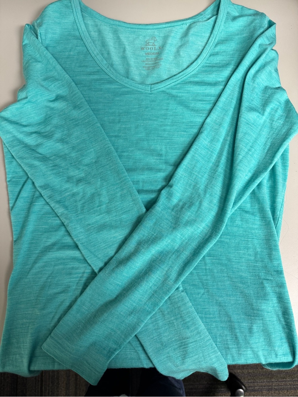 Women’s Teal Long-Sleeve V-Neck Top by Woolx
